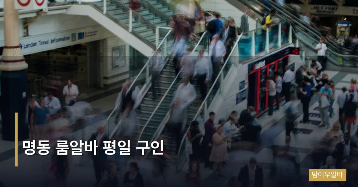 명동 룸알바 평일 구인 정보, 주말보다 평일이 유리한 5가지 이유