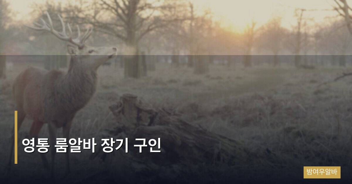 영통 룸알바 장기 구인