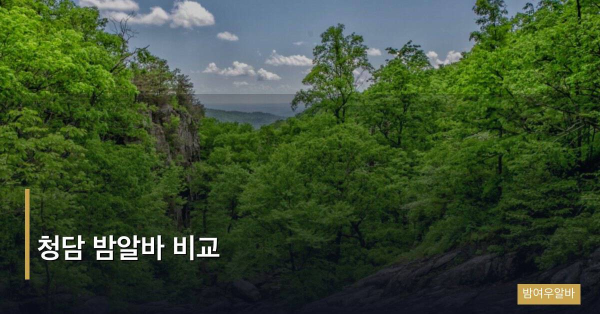 청담 밤알바 비교