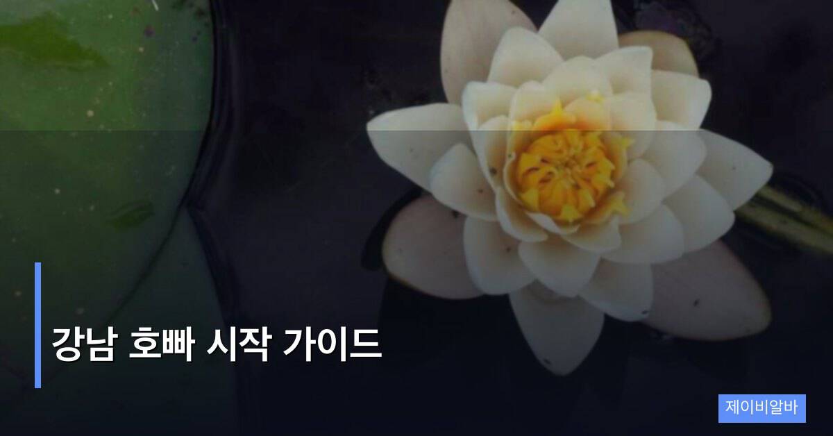 강남 호빠 시작 가이드, 입문자가 첫 달부터 자리 잡는 방법