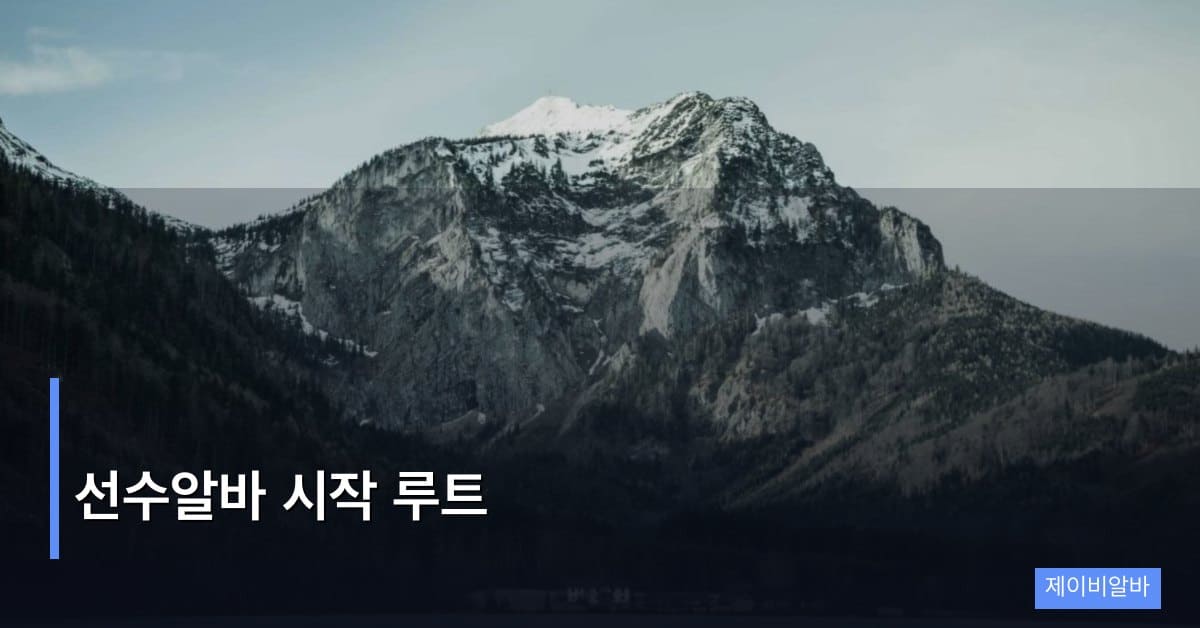 선수알바 시작 루트