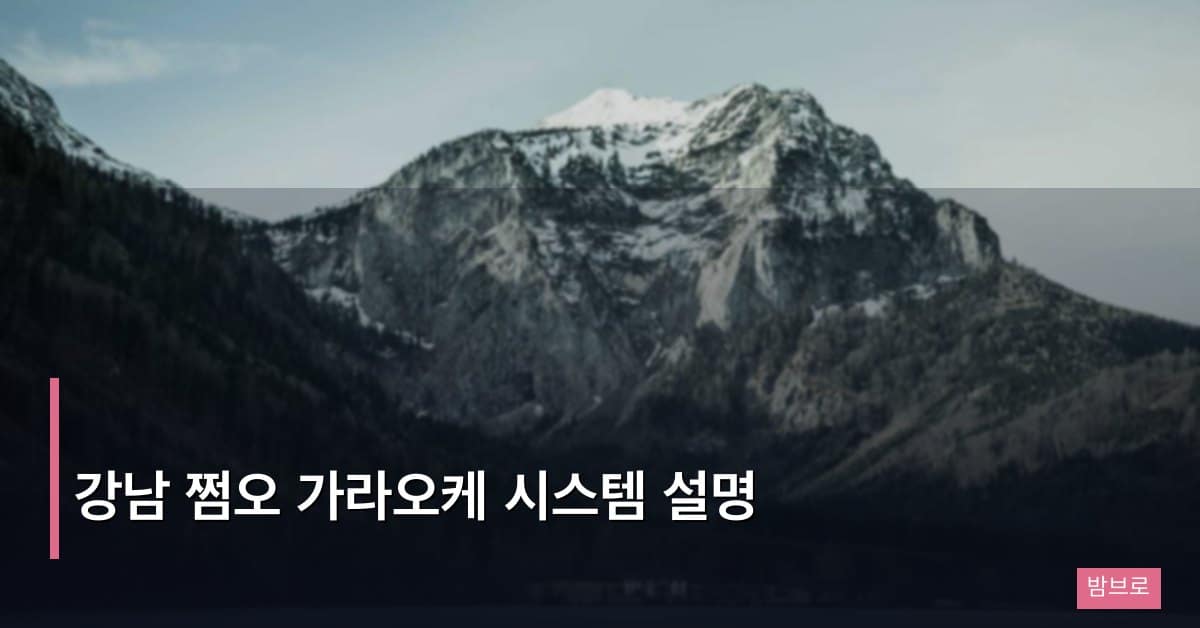 강남 쩜오 가라오케 시스템 설명, 운영 방식과 이용 가이드