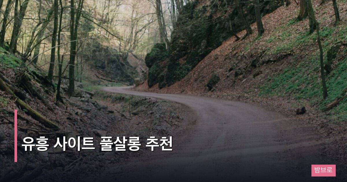 유흥 사이트 풀살롱 추천, 강남 최고급 업소 선택 기준
