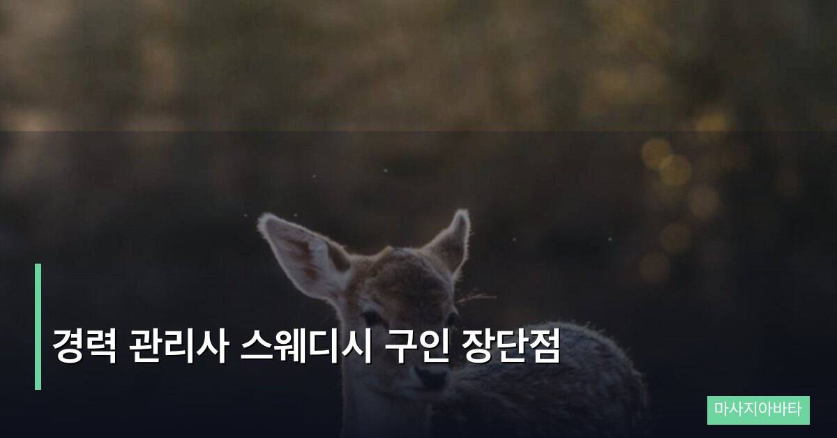 경력 관리사 스웨디시 구인 장단점 현직자 심층 분석