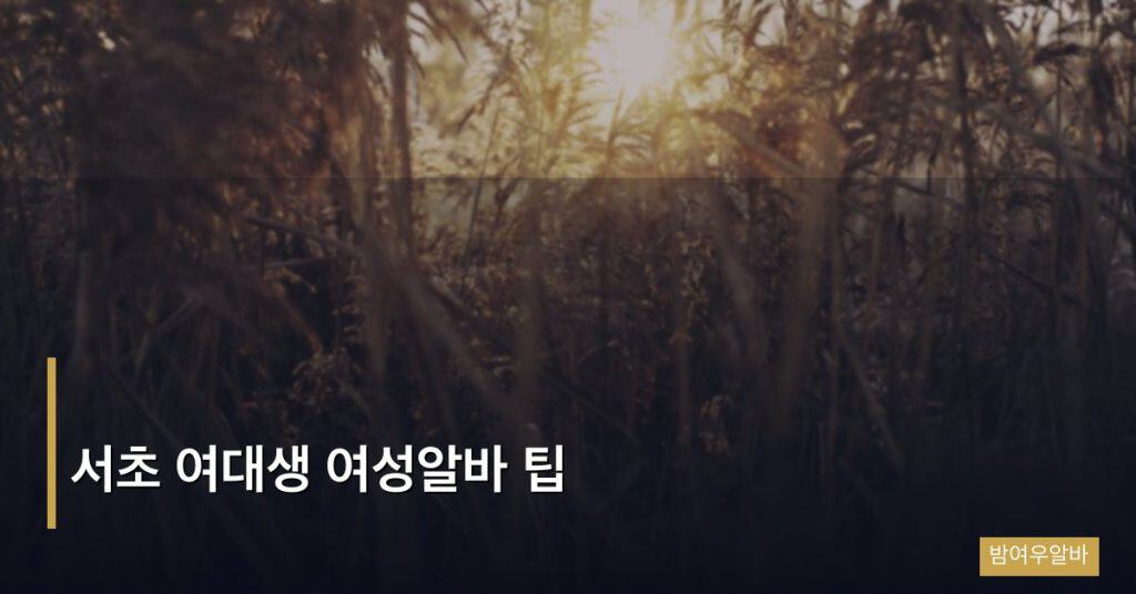 서초 여대생 여성알바 팁