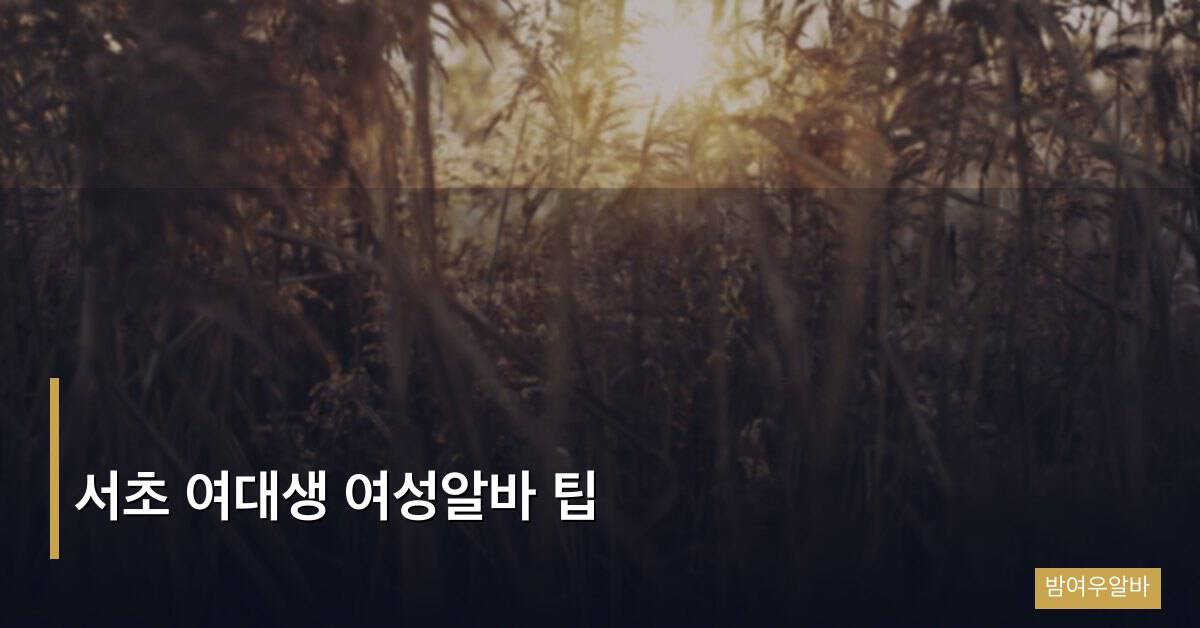 서초 여대생 여성알바 팁