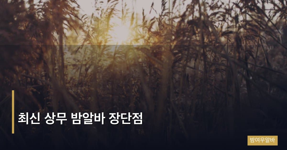 최신 상무 밤알바 장단점