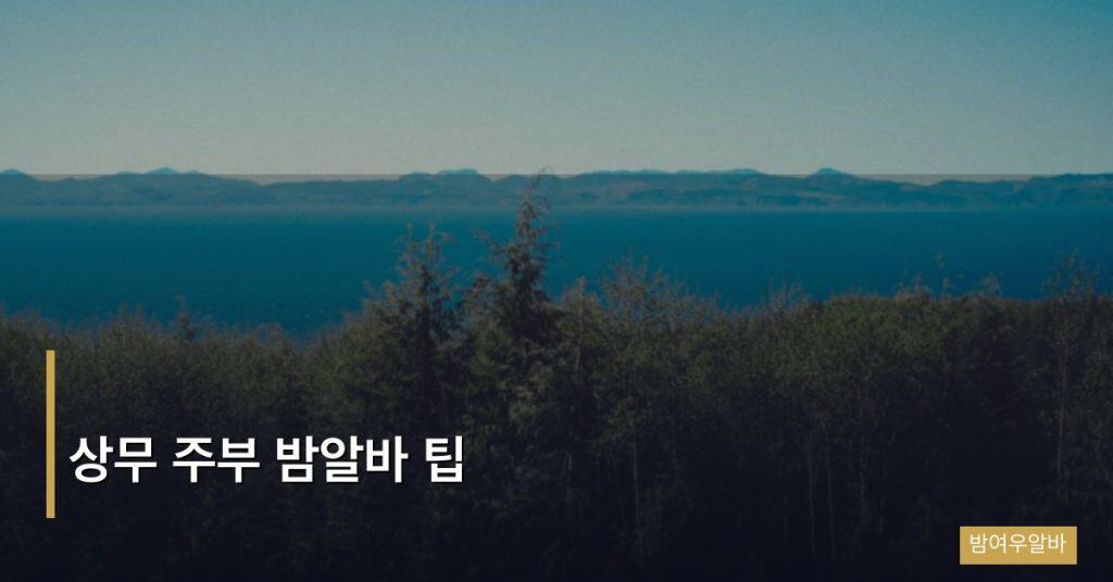 상무 주부 밤알바 팁