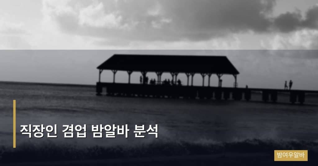 직장인 겸업 밤알바 분석