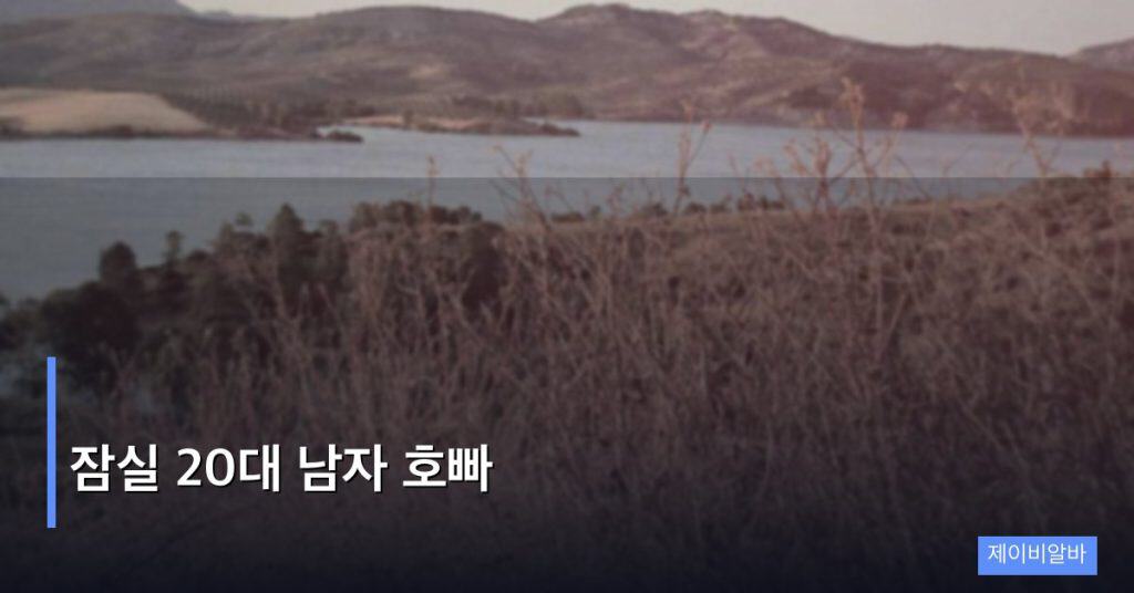 잠실 20대 남자 호빠