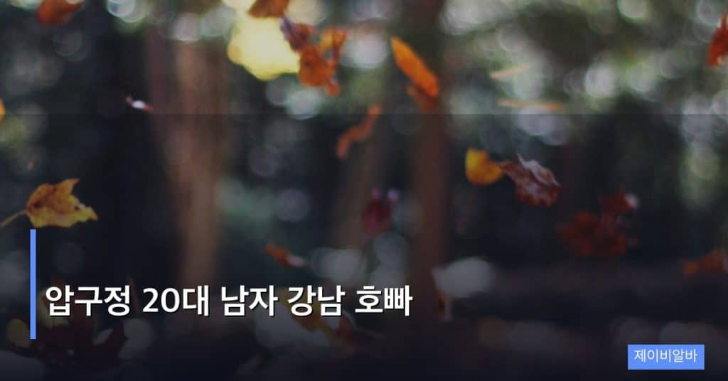 압구정 20대 남자 강남 호빠