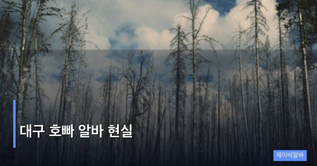 대구 호빠 알바 현실