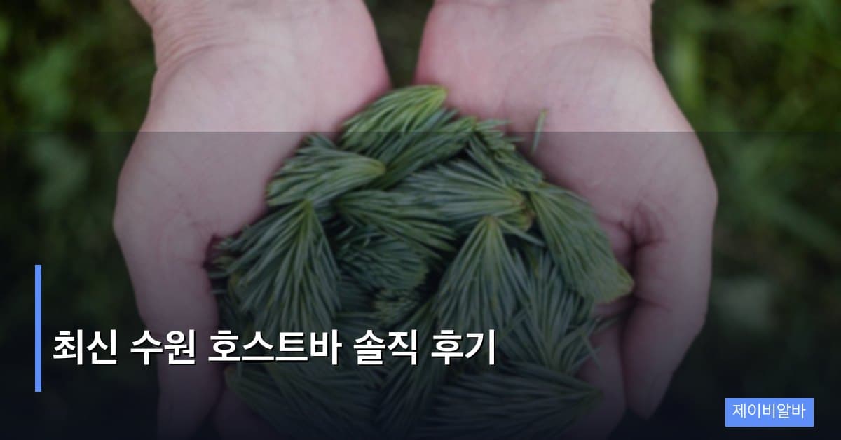 최신 수원 호스트바 솔직 후기
