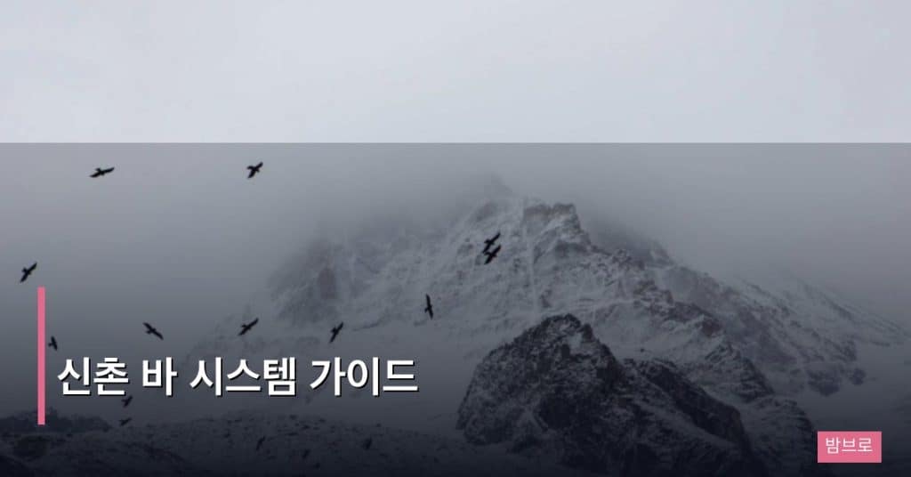 신촌 바 시스템 가이드