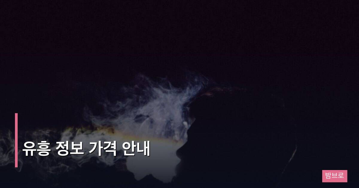 유흥 정보 가격 안내