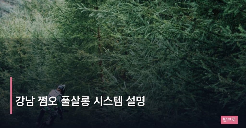 강남 쩜오 풀살롱 시스템 설명