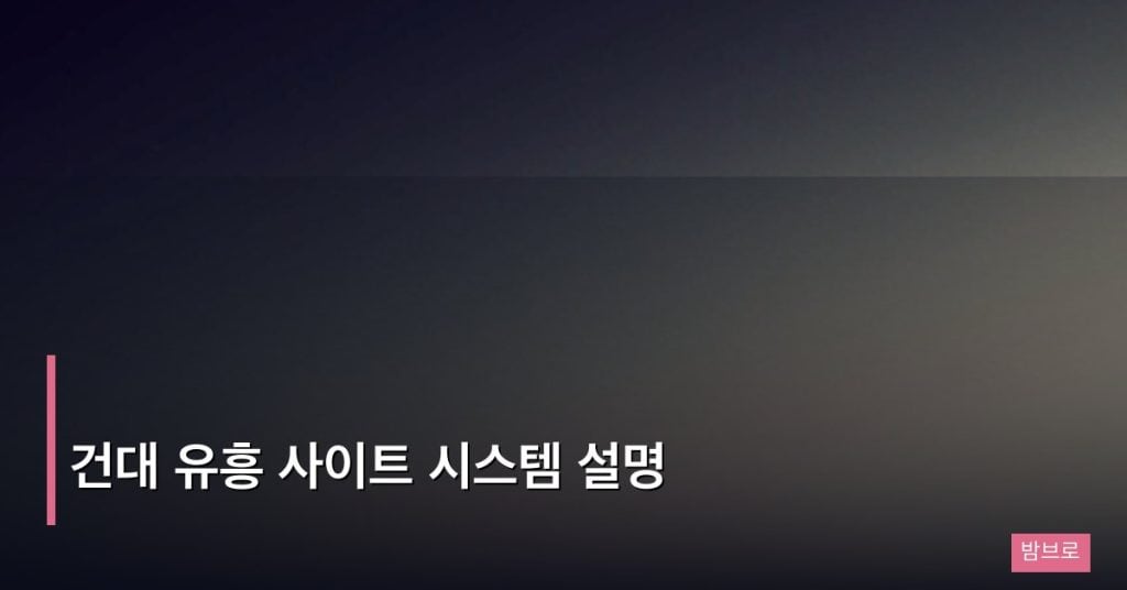 건대 유흥 사이트 시스템 설명