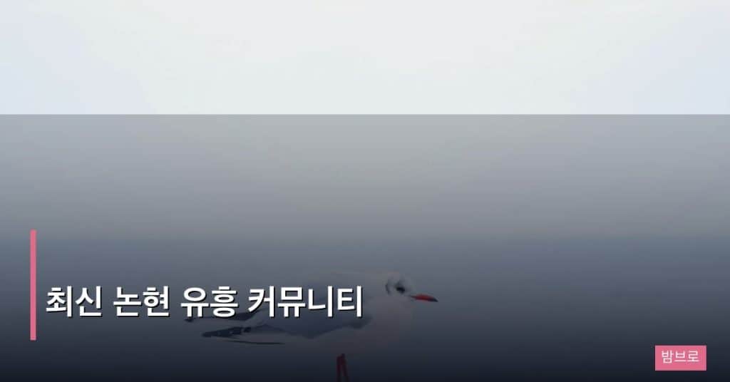 최신 논현 유흥 커뮤니티