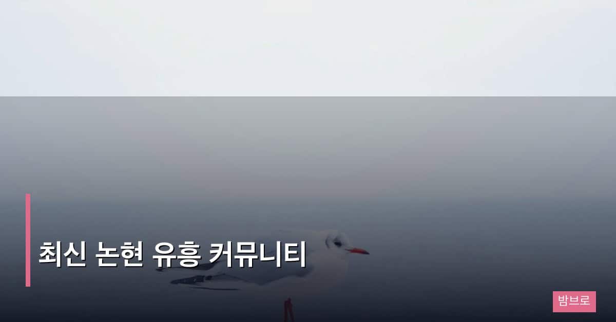 최신 논현 유흥 커뮤니티