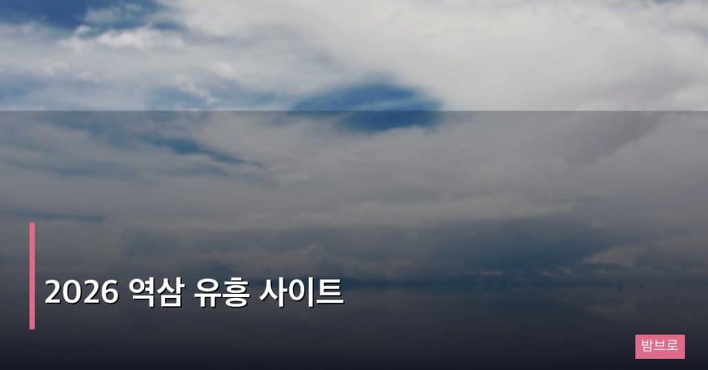 2026 역삼 유흥 사이트