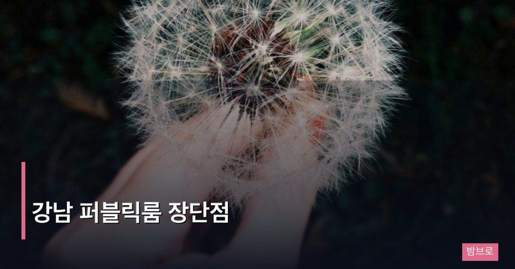 강남 퍼블릭룸 장단점