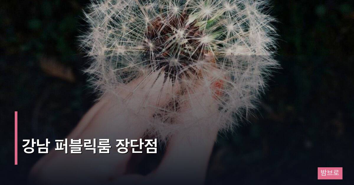 강남 퍼블릭룸 장단점