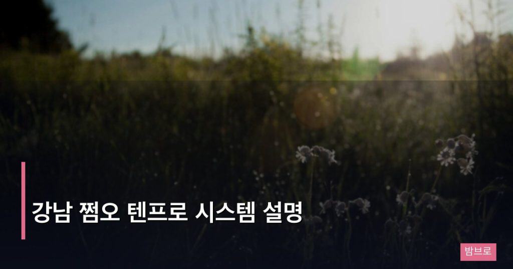 강남 쩜오 텐프로 시스템 설명