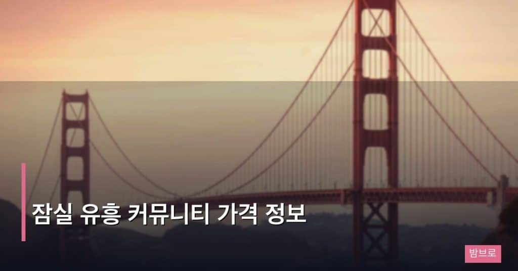 잠실 유흥 커뮤니티 가격 정보
