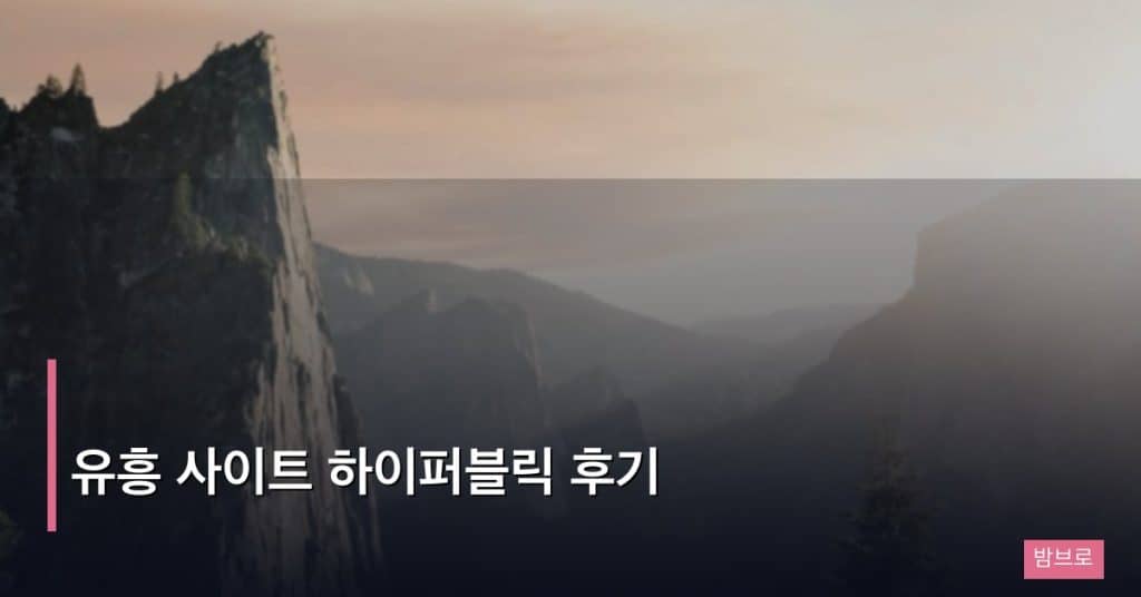 유흥 사이트 하이퍼블릭 후기