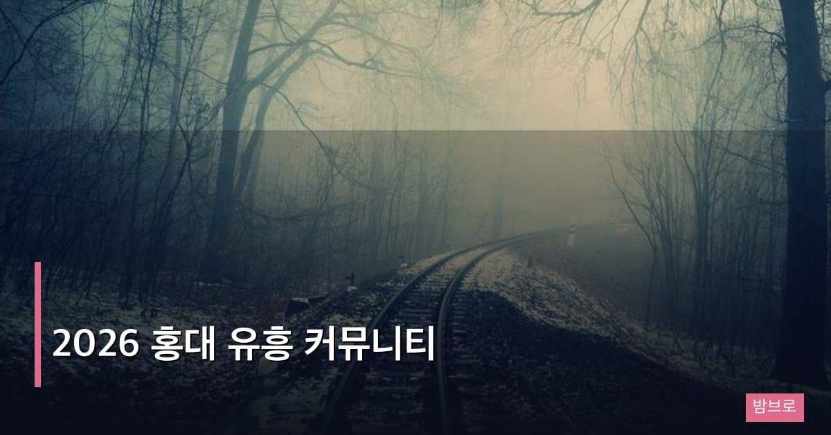 2026 홍대 유흥 커뮤니티