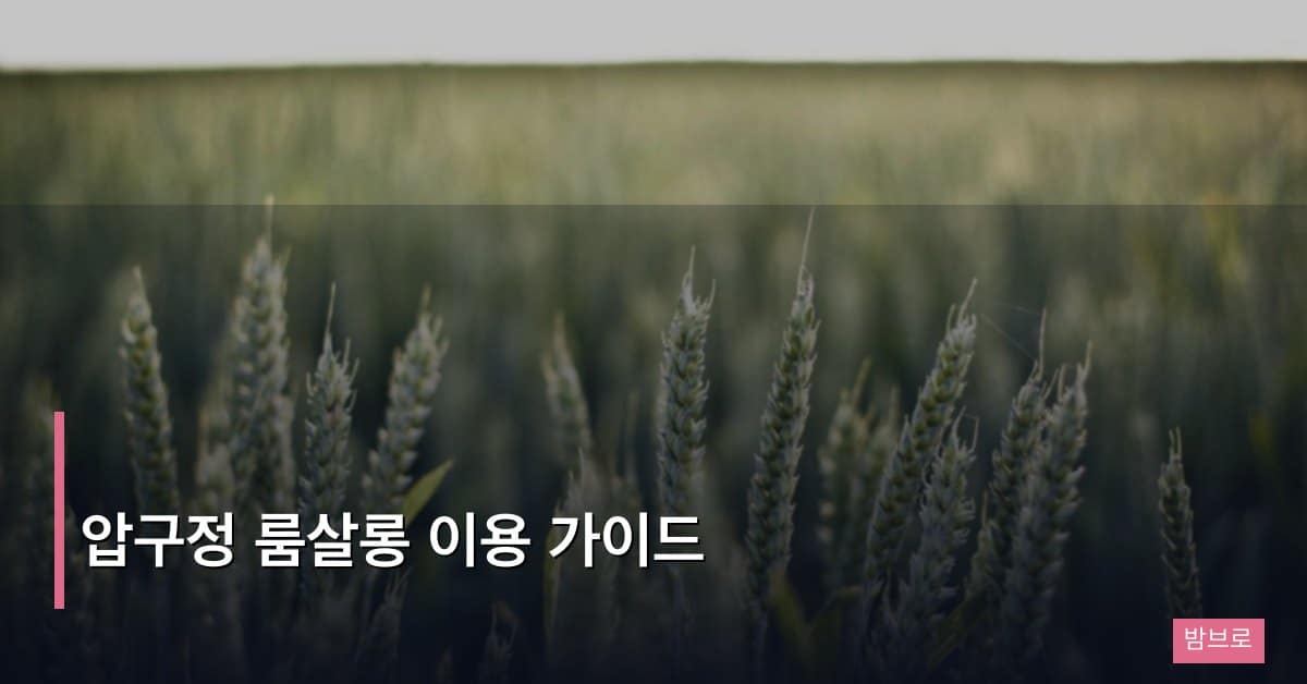 압구정 룸살롱 이용 가이드