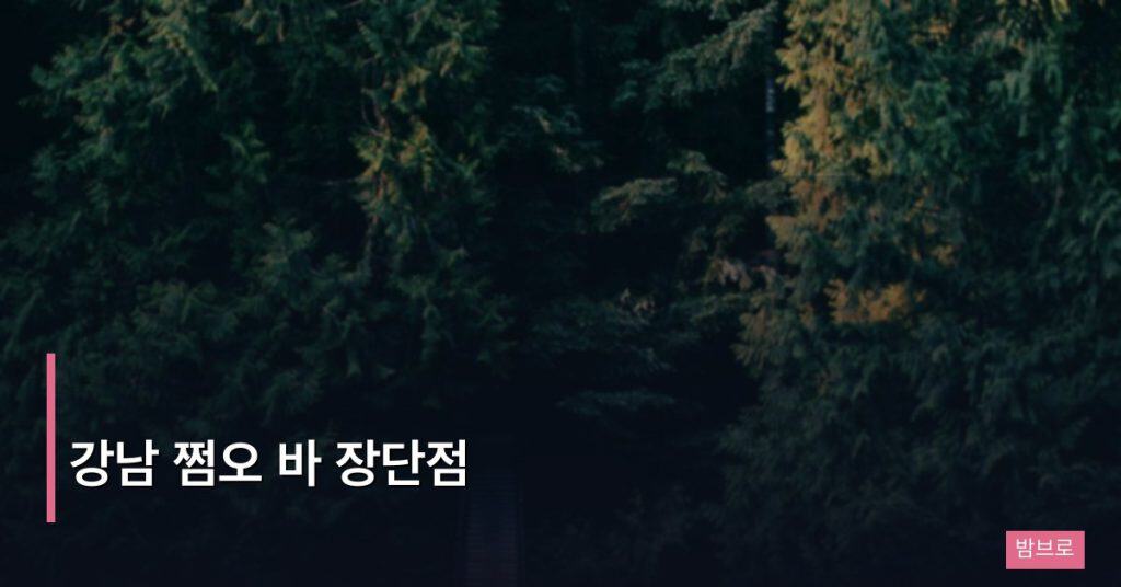 강남 쩜오 바 장단점
