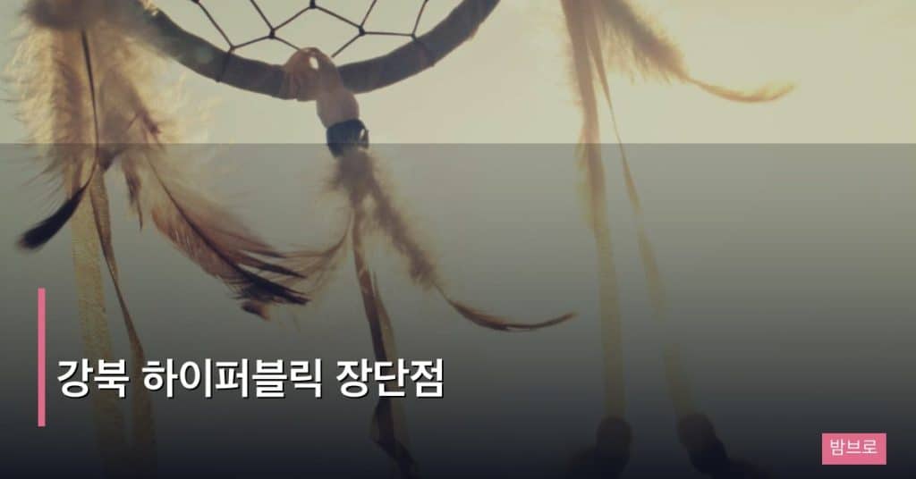 강북 하이퍼블릭 장단점