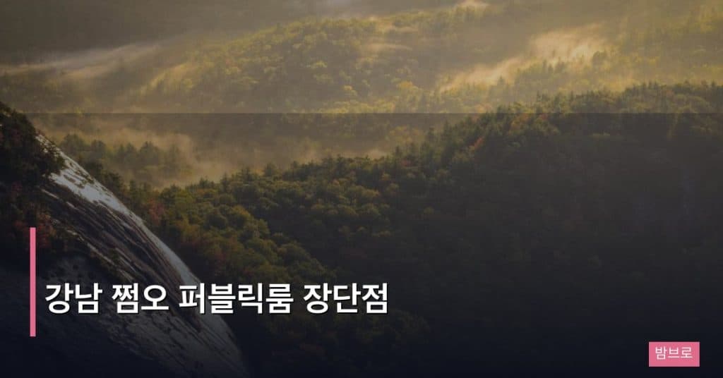 강남 쩜오 퍼블릭룸 장단점
