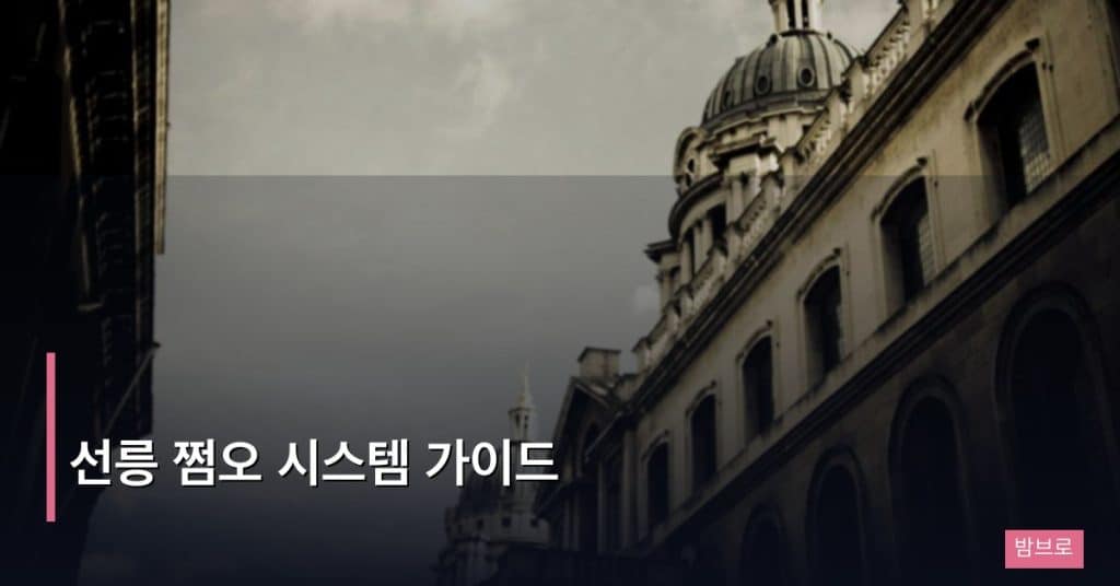 선릉 쩜오 시스템 가이드