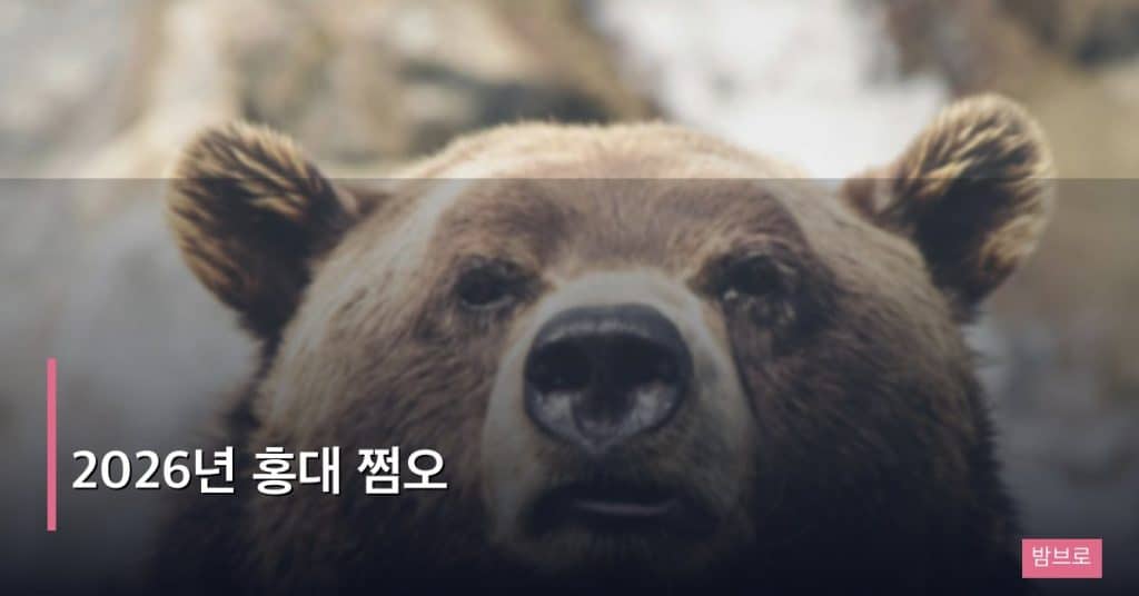 2026년 홍대 쩜오