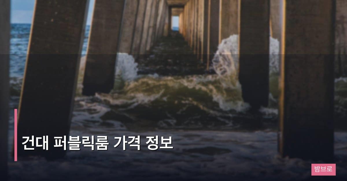 건대 퍼블릭룸 가격 정보