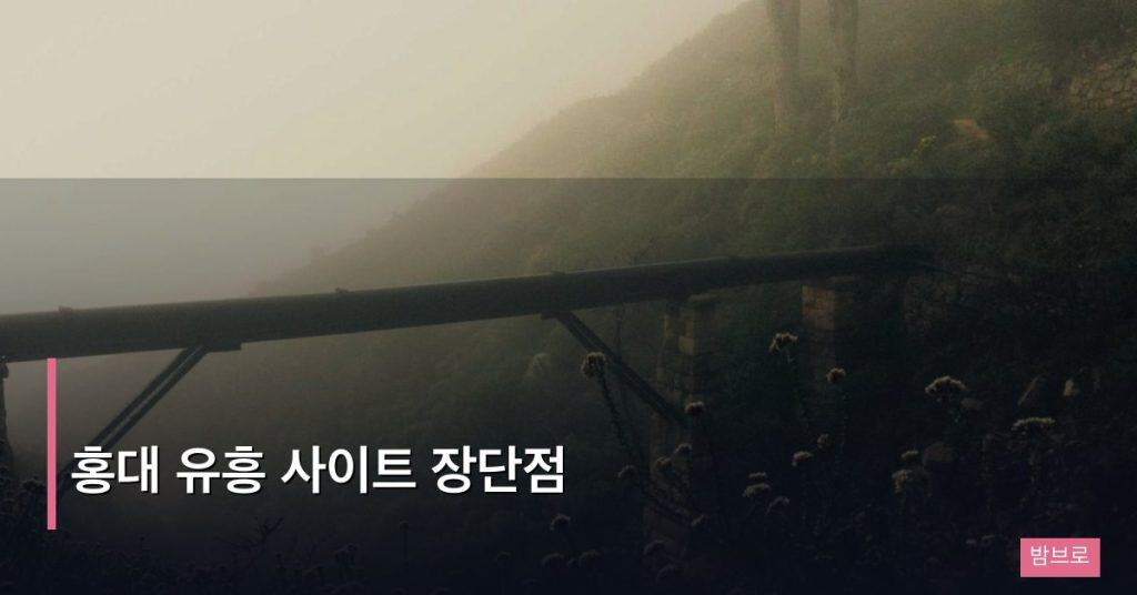 홍대 유흥 사이트 장단점