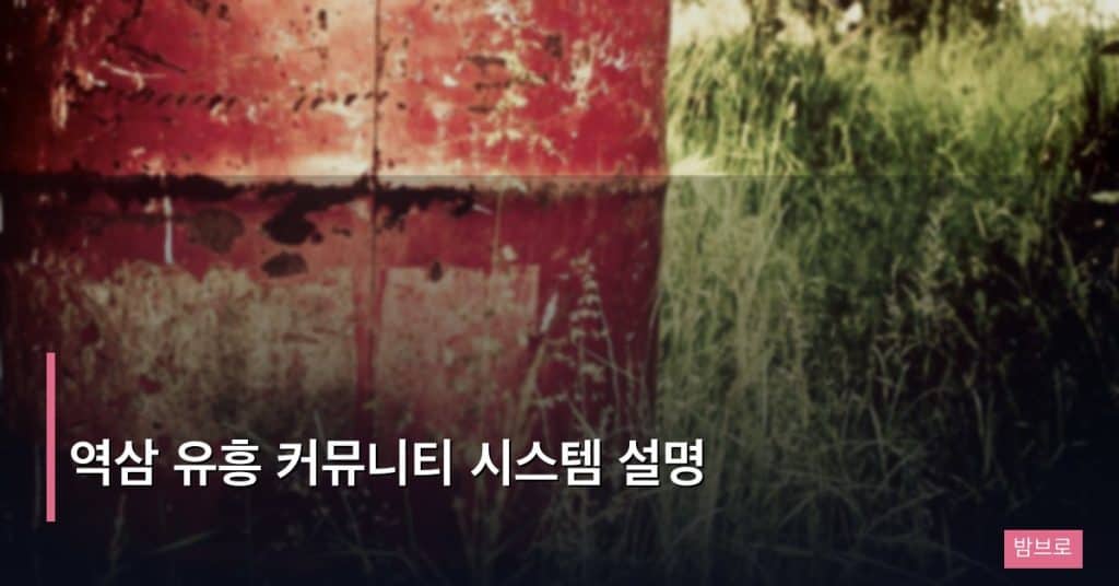 역삼 유흥 커뮤니티 시스템 설명