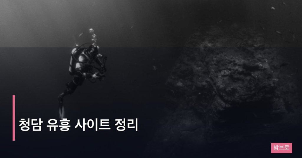 청담 유흥 사이트 정리