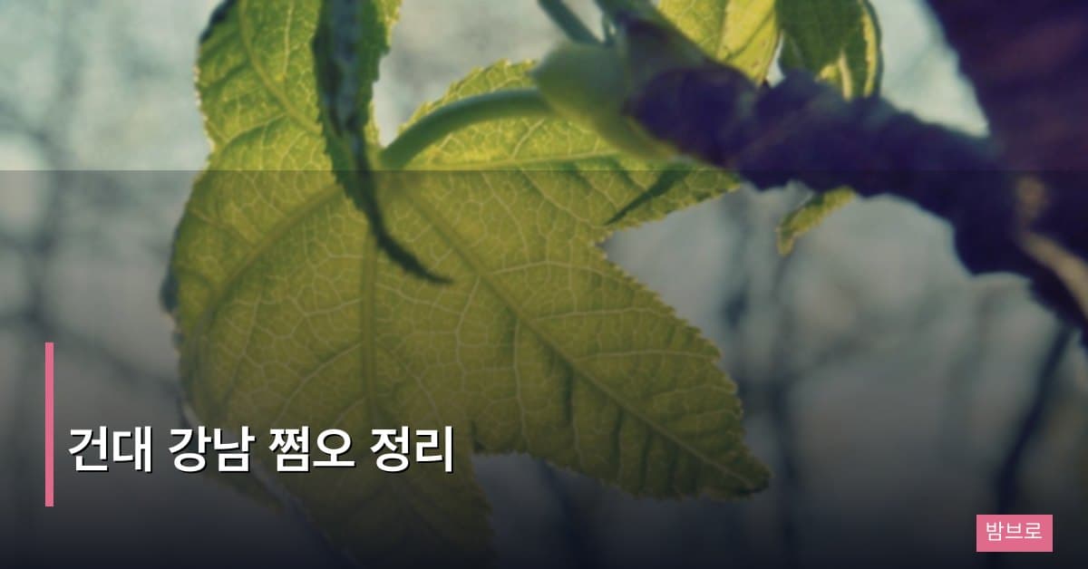 건대 강남 쩜오 정리