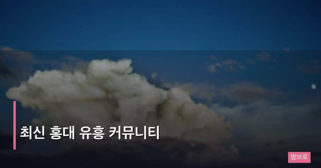 최신 홍대 유흥 커뮤니티