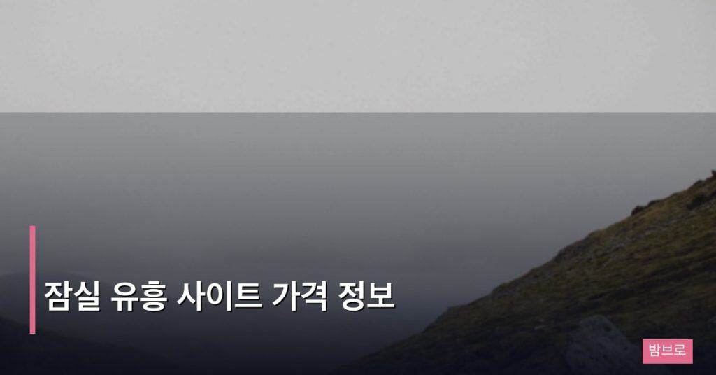 잠실 유흥 사이트 가격 정보