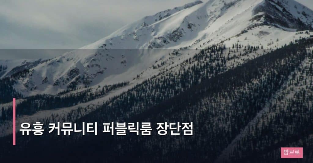 유흥 커뮤니티 퍼블릭룸 장단점