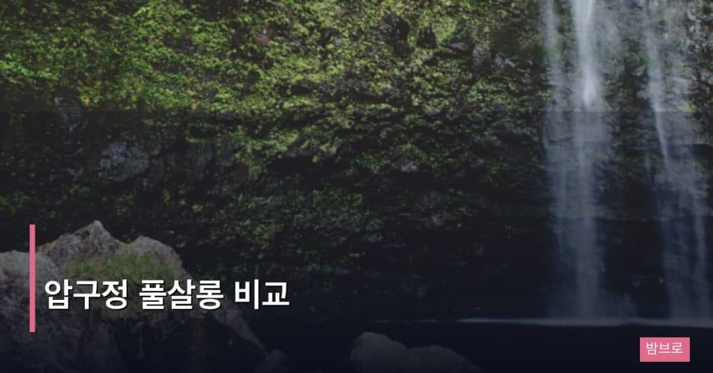 압구정 풀살롱 비교