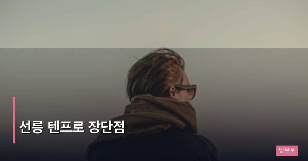선릉 텐프로 장단점