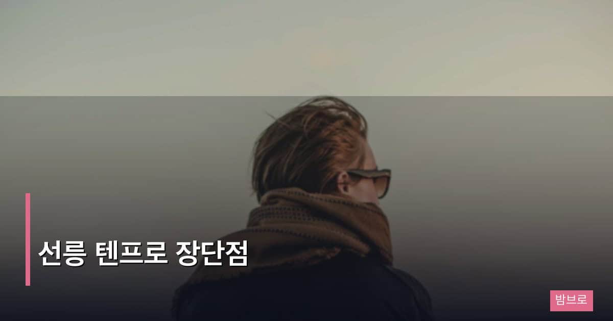선릉 텐프로 장단점