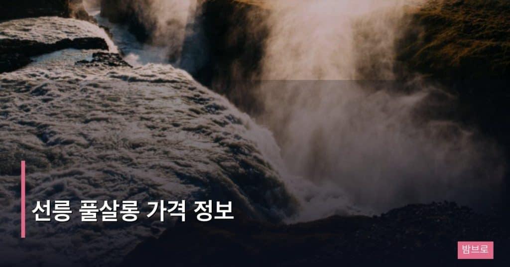 선릉 풀살롱 가격 정보