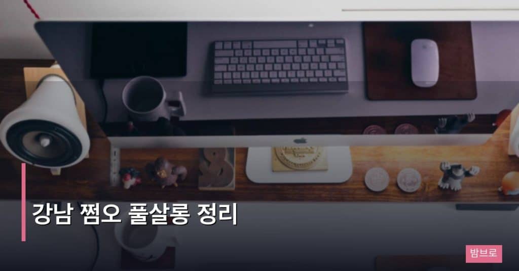 강남 쩜오 풀살롱 정리