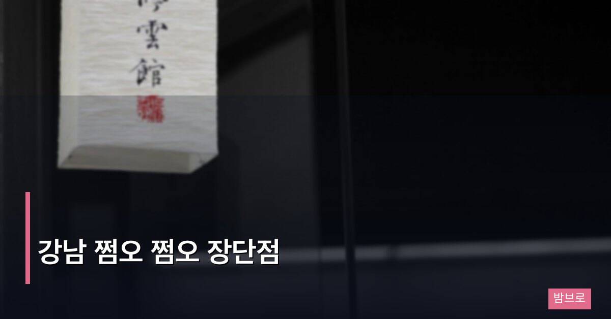 강남 쩜오 쩜오 장단점